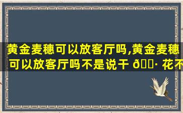 黄金麦穗可以放客厅吗,黄金麦穗可以放客厅吗不是说干 🌷 花不好吗